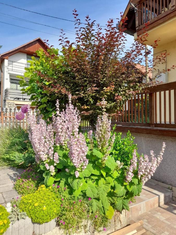 Harmonia Vendeghaz 100 Meterre Az Igali Gyogyfuerdotol Apartment Ngoại thất bức ảnh