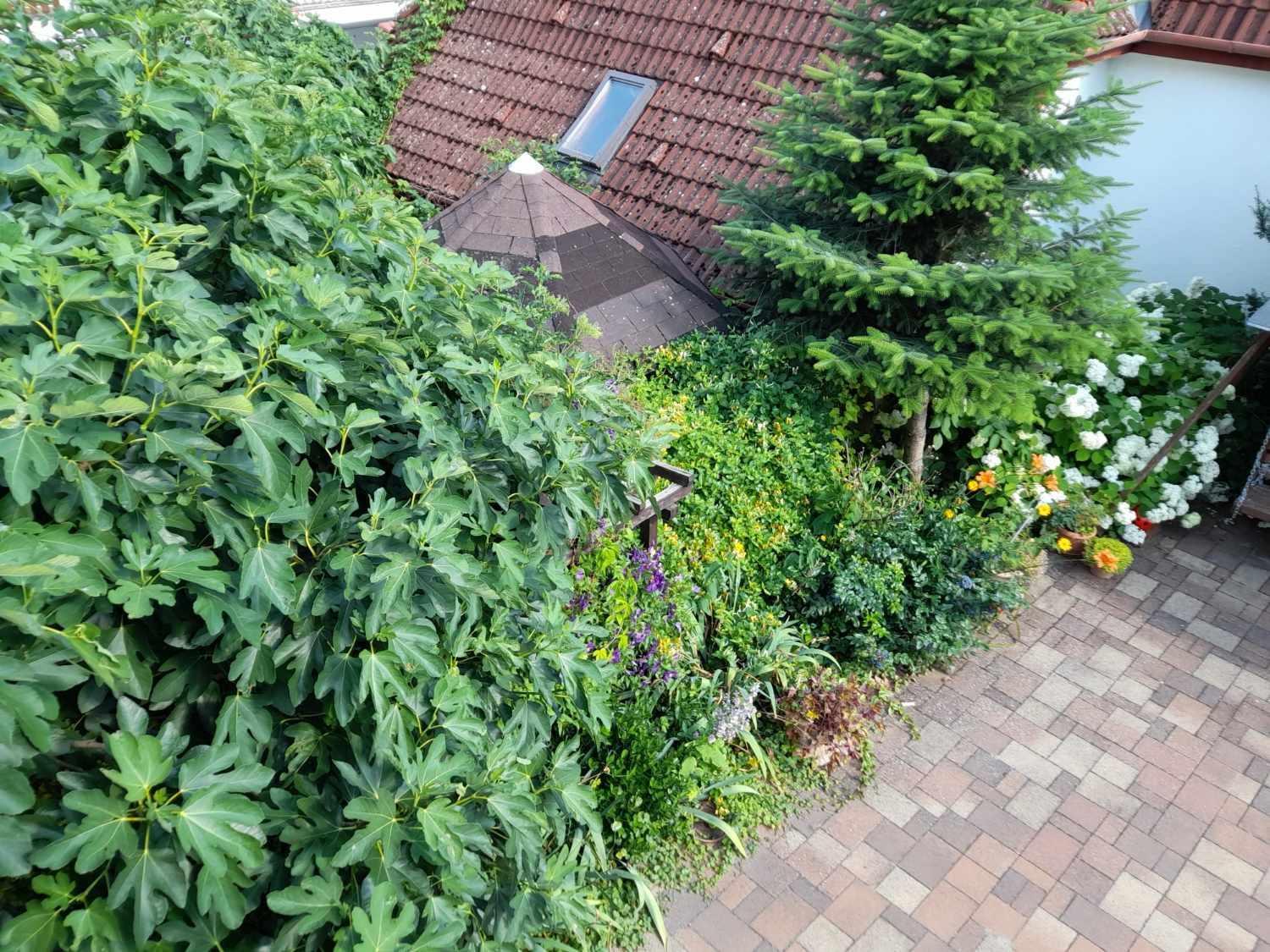 Harmonia Vendeghaz 100 Meterre Az Igali Gyogyfuerdotol Apartment Ngoại thất bức ảnh