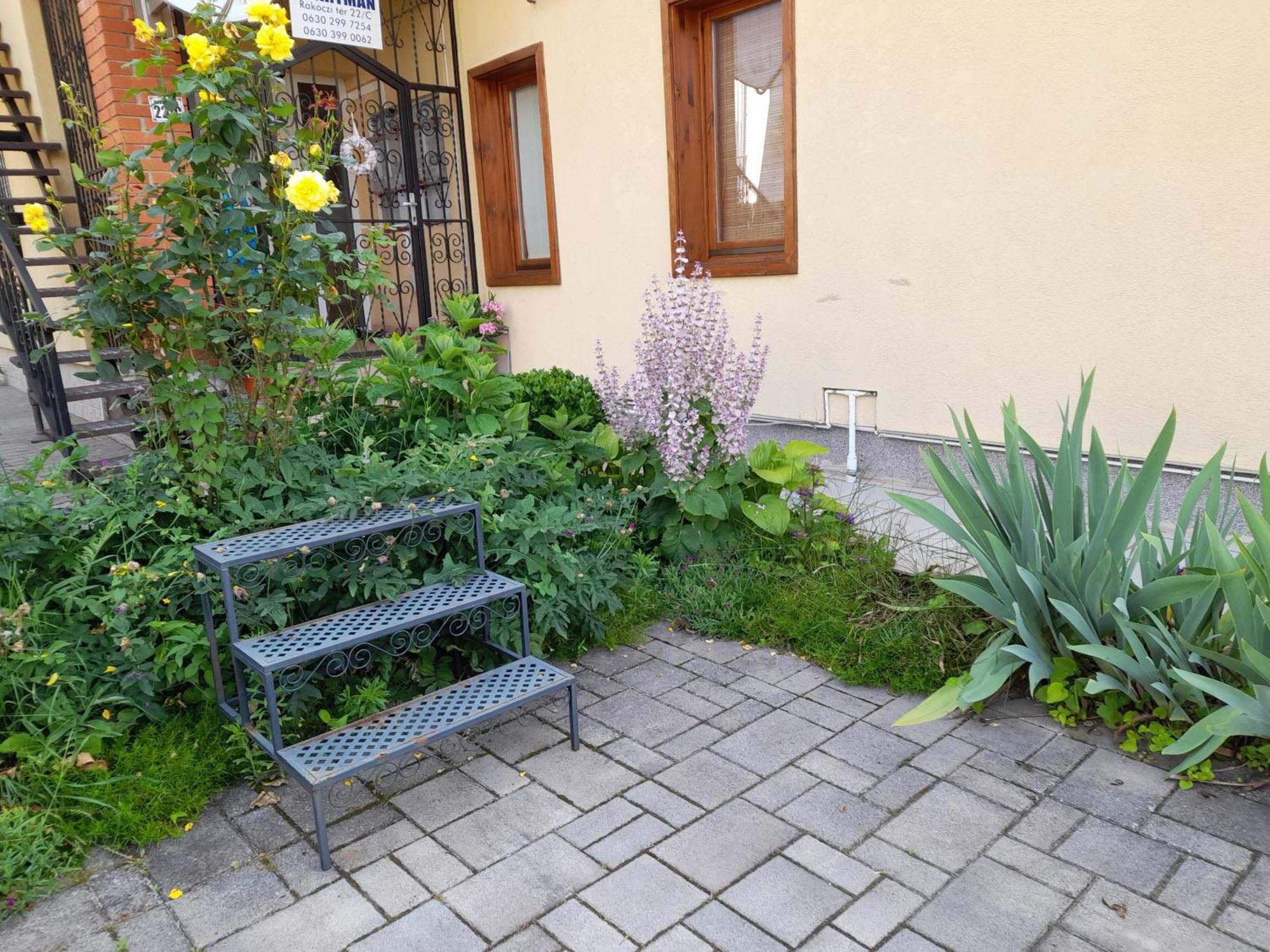 Harmonia Vendeghaz 100 Meterre Az Igali Gyogyfuerdotol Apartment Ngoại thất bức ảnh