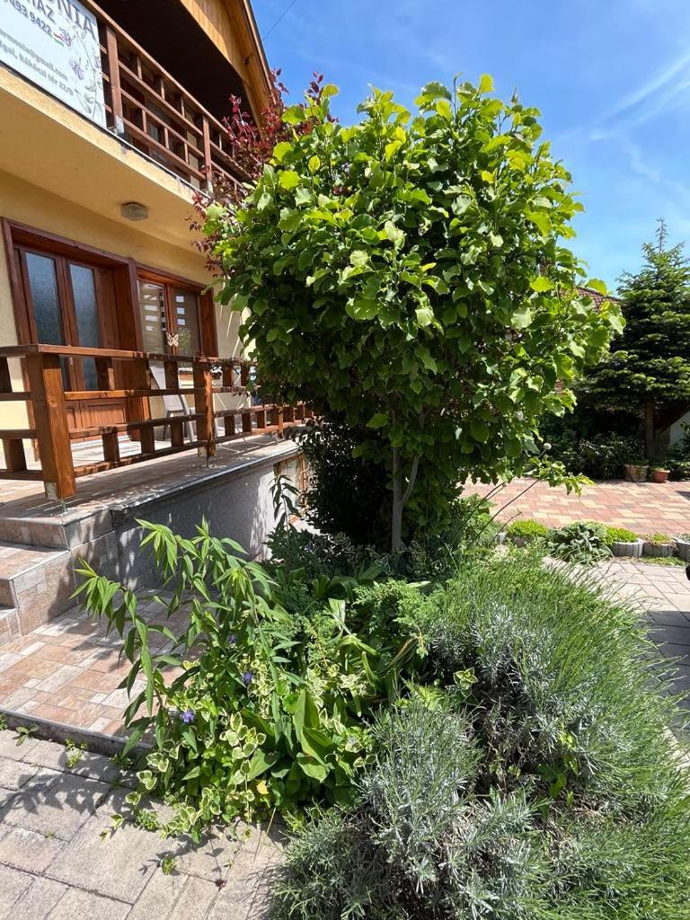 Harmonia Vendeghaz 100 Meterre Az Igali Gyogyfuerdotol Apartment Ngoại thất bức ảnh